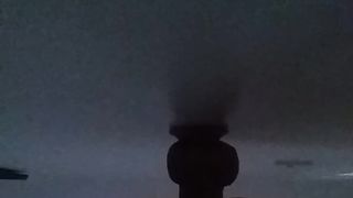 Fresh prodding wand 7"