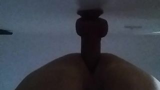 Fresh prodding wand 7"