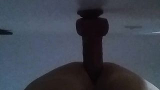 Fresh prodding wand 7"