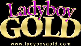 Jame Always Likes Opening Her Booty For Orgy