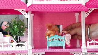 Buxom tgirl lady and her nymph girlfriend come alive and attempt out hook-up