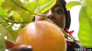 Farm possessor tag teamed in a 3 way by 2 sumptuous she-males