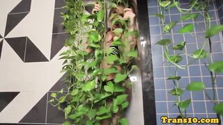 Taunting latina ts elations herself