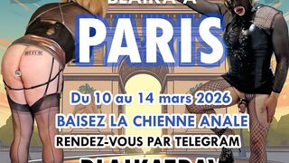 La chienne anale à Paris du 9 au 14