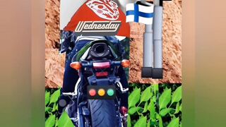 Zea812 - update #376 - 1000063360 - Sep 07, 2025