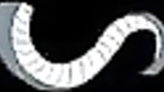 Crazy FTM Jaq Quicksilver Idolizes Masculine Assets