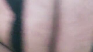 Trapito