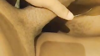 Indian shemale rosey blowjobsd