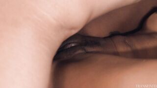 Fate Mira & Valeria Atreides