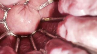 Reneenicolecd - update #28 - Degrading Gullet Pulverize #trio - Apr 12, 2026
