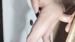 Monster dildo anal 27