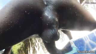 Transgirl Fuck-a-thon in the pool