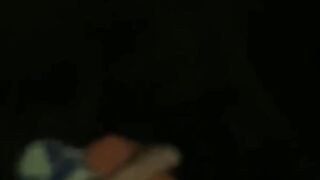 سیسی آرش گی وطنی