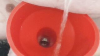 sissy pisswhore piss in own mouth pee funnel