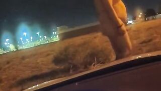Naked outside the car