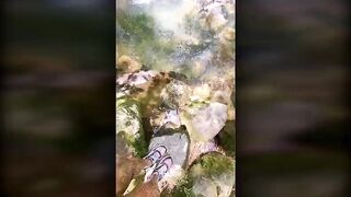 A day in the Colombian rainforest and sea