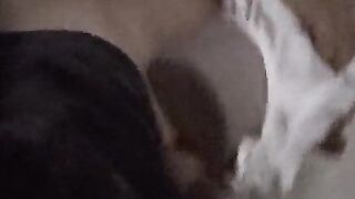 Reneenicolecd - update #91 - Extended Rigid Fucky-fucky Smash Damsel - Kate - The Flawless Gash - Aug 14, 2026