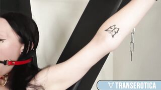 Dark haired Honey Raven Vice Rails Kelly Super-cute's TRANSSEXUAL Penis All BONDAGE & DISCIPLINE!