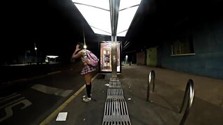 Oversights in public transport SKIRT